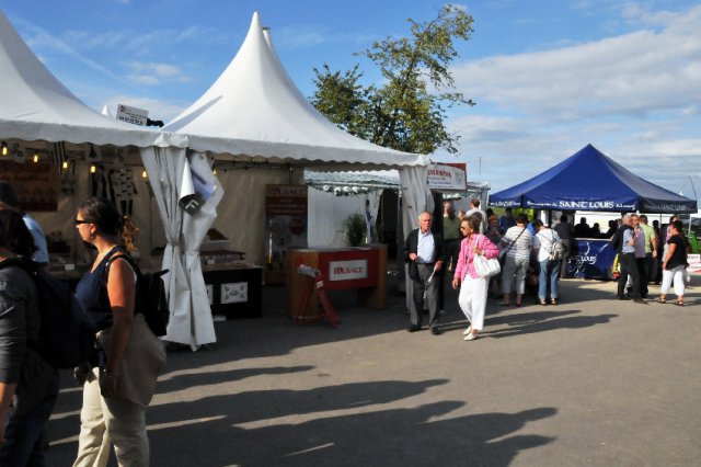 Festival 2011