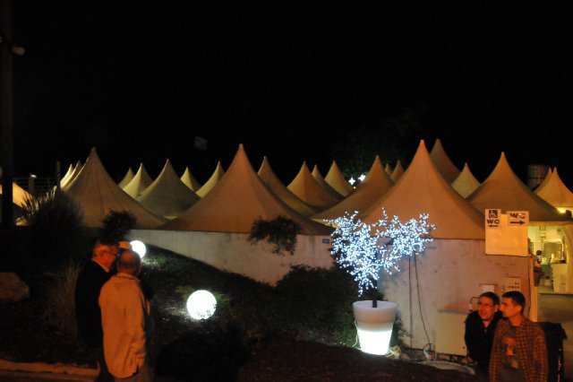 Festival 2011