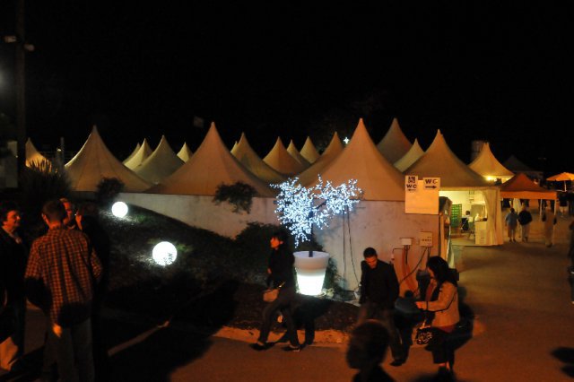 Festival 2011