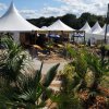 Festival 2011