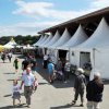 Festival 2011