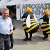 Festival 2011