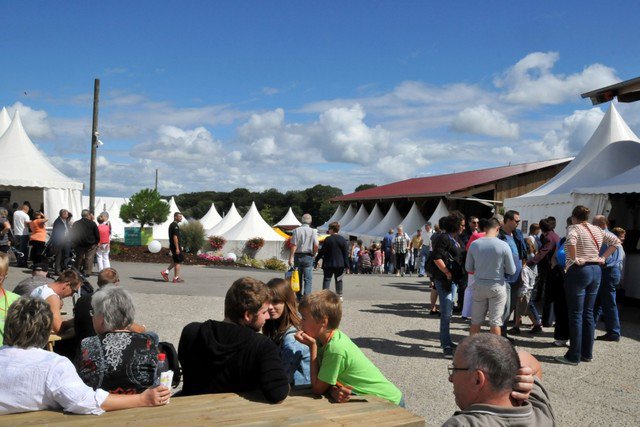 Festival 2012