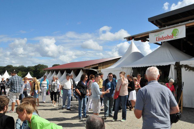 Festival 2012