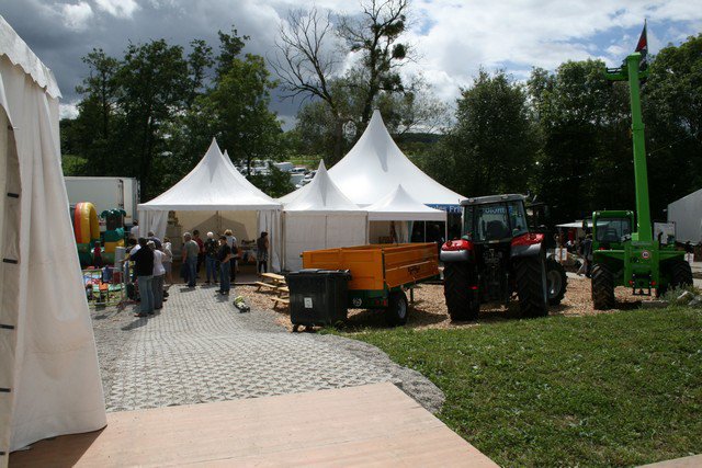 Festival 2012