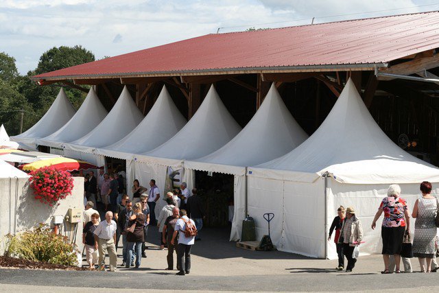 Festival 2012