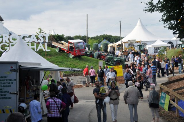 Festival 2013