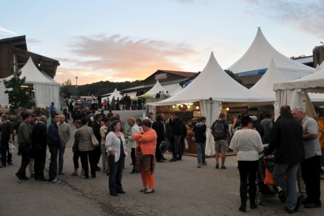 Festival 2013