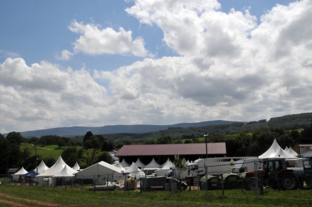 Festival 2013