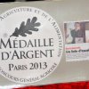 Festival 2013
