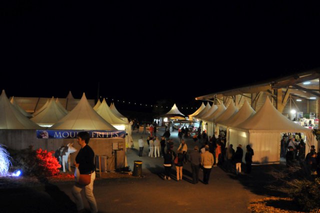 Festival 2014